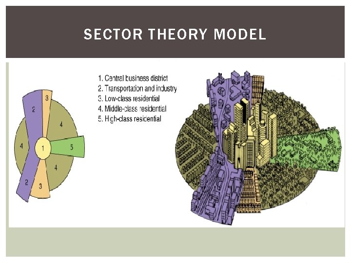 SECTOR THEORY MODEL 