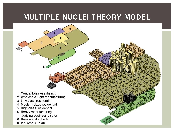 MULTIPLE NUCLEI THEORY MODEL 