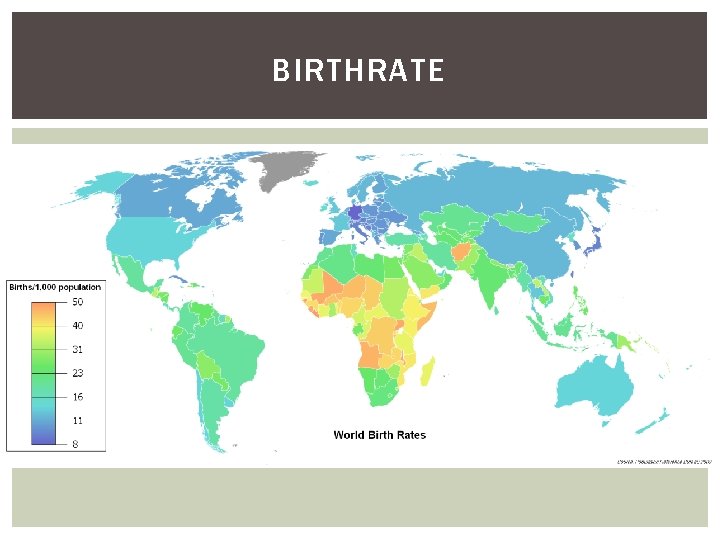 BIRTHRATE 