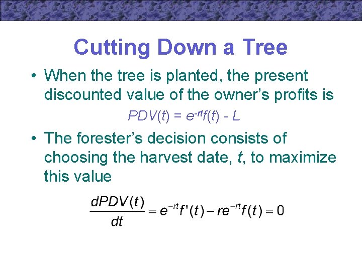 Cutting Down a Tree • When the tree is planted, the present discounted value
