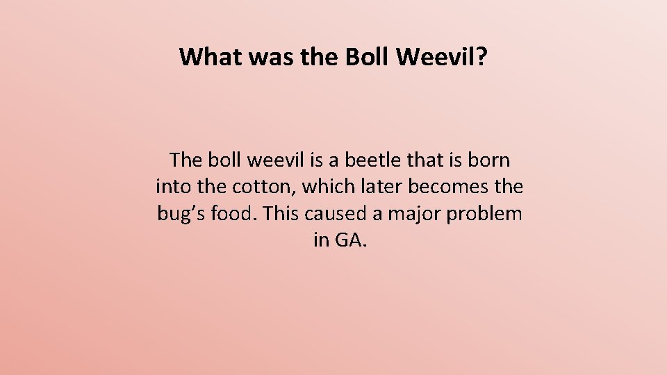 What was the Boll Weevil? The boll weevil is a beetle that is born