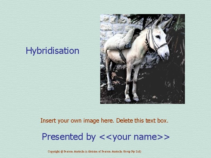 Hybridisation Insert your own image here. Delete this text box. Presented by <<your name>>