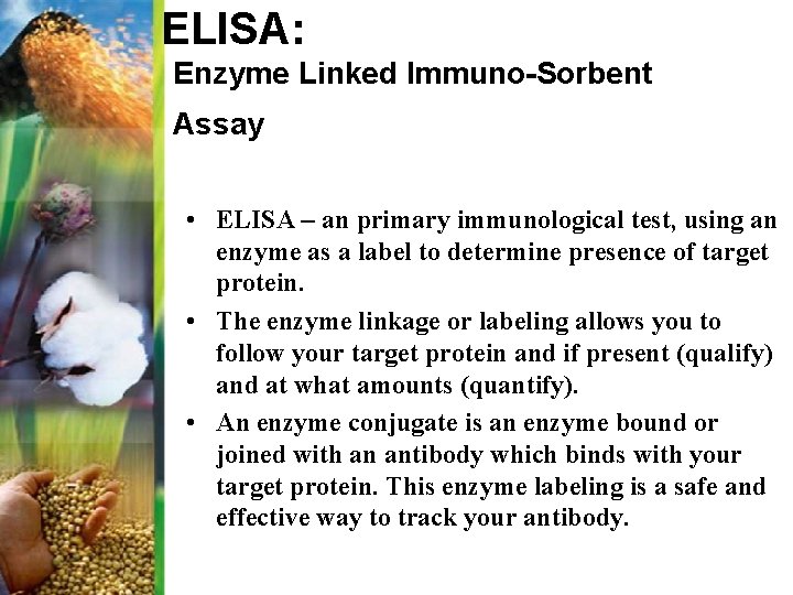 ELISA: Enzyme Linked Immuno-Sorbent Assay • ELISA – an primary immunological test, using an