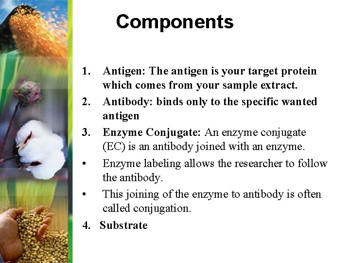 Components 1. Antigen: The antigen is your target protein which comes from your sample
