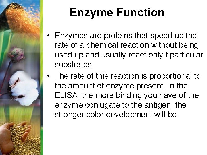 Enzyme Function • Enzymes are proteins that speed up the rate of a chemical