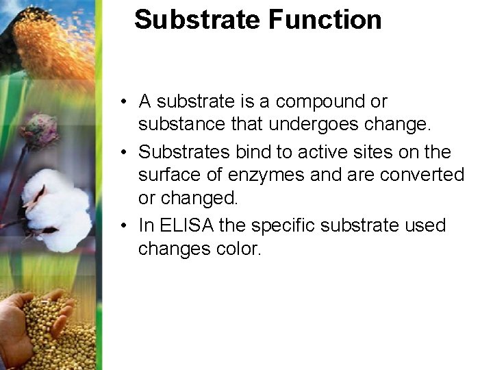 Substrate Function • A substrate is a compound or substance that undergoes change. •