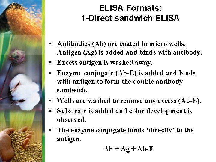 ELISA Formats: 1 -Direct sandwich ELISA • Antibodies (Ab) are coated to micro wells.