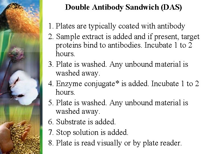 Double Antibody Sandwich (DAS) 1. Plates are typically coated with antibody 2. Sample extract