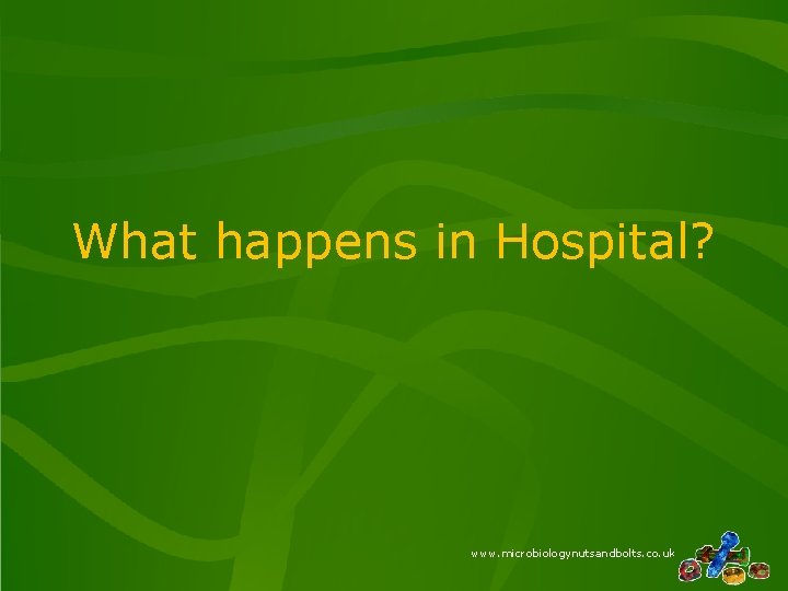 What happens in Hospital? www. microbiologynutsandbolts. co. uk 