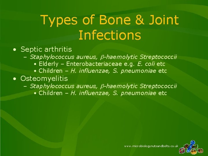 Types of Bone & Joint Infections • Septic arthritis – Staphylococcus aureus, b-haemolytic Streptococcii