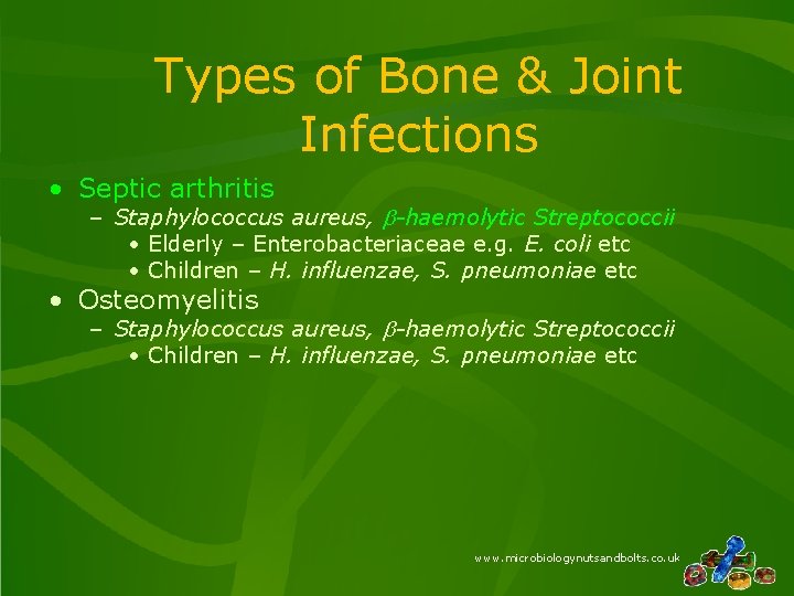 Types of Bone & Joint Infections • Septic arthritis – Staphylococcus aureus, b-haemolytic Streptococcii