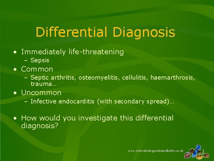 Differential Diagnosis • Immediately life-threatening – Sepsis • Common – Septic arthritis, osteomyelitis, cellulitis,