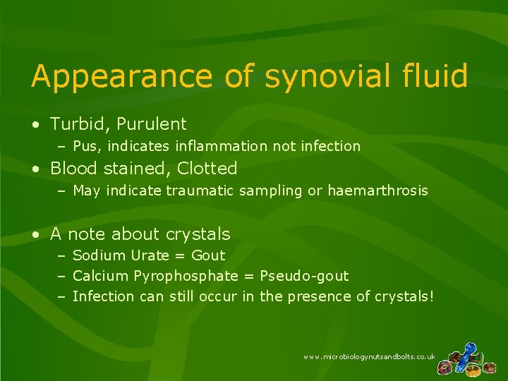 Appearance of synovial fluid • Turbid, Purulent – Pus, indicates inflammation not infection •