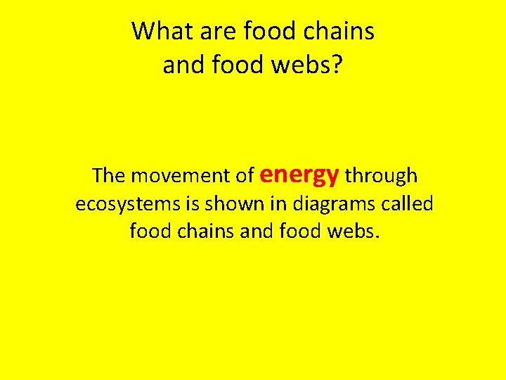 What are food chains and food webs? The movement of energy through ecosystems is