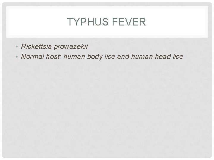 TYPHUS FEVER • Rickettsia prowazekii • Normal host: human body lice and human head