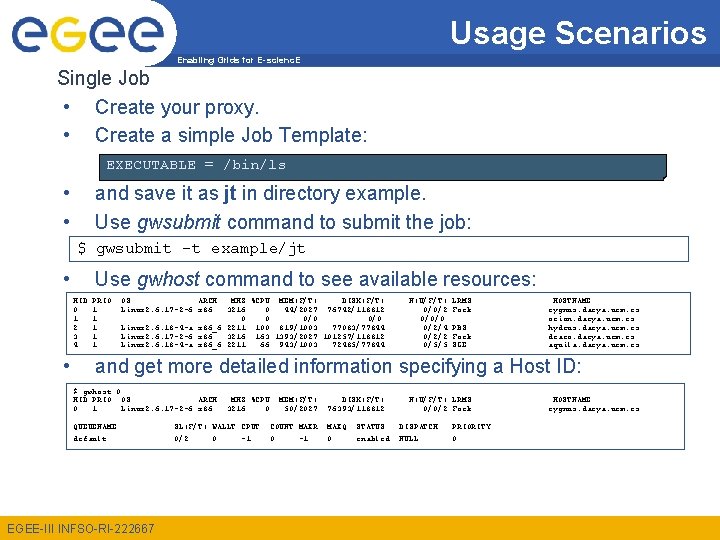 Usage Scenarios Enabling Grids for E-scienc. E Single Job • Create your proxy. •