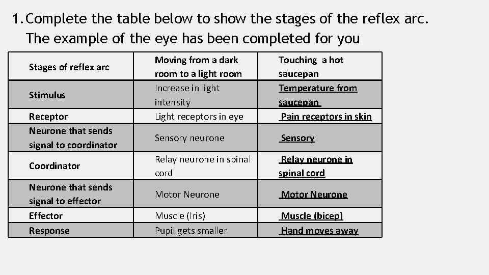1. Complete the table below to show the stages of the reflex arc. The
