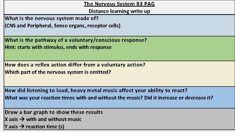 The Nervous System B 3 PAG Distance learning write up What is the nervous