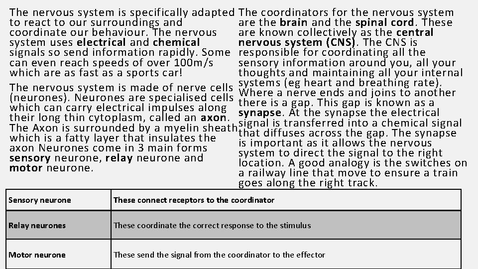 The nervous system is specifically adapted The coordinators for the nervous system are the