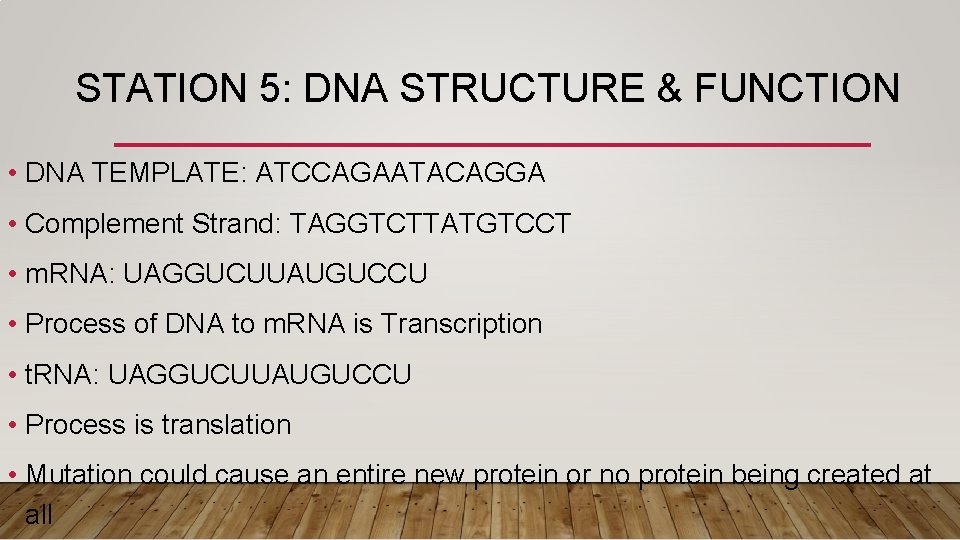 STATION 5: DNA STRUCTURE & FUNCTION • DNA TEMPLATE: ATCCAGAATACAGGA • Complement Strand: TAGGTCTTATGTCCT