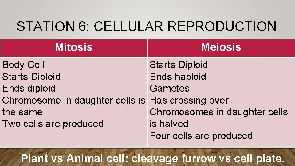 STATION 6: CELLULAR REPRODUCTION Mitosis Meiosis Body Cell Starts Diploid Ends diploid Chromosome in