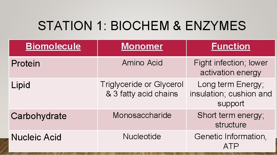 STATION 1: BIOCHEM & ENZYMES Biomolecule Protein Lipid Carbohydrate Nucleic Acid Monomer Amino Acid