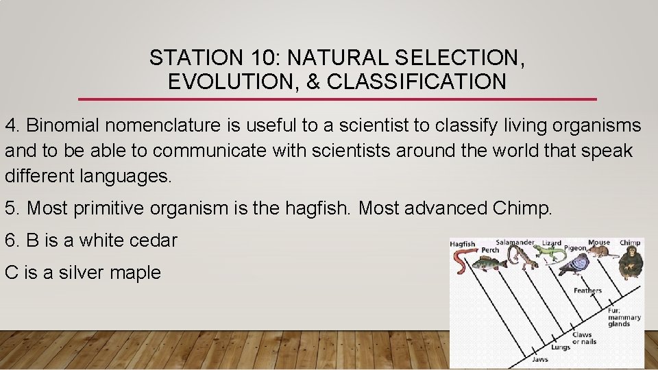 STATION 10: NATURAL SELECTION, EVOLUTION, & CLASSIFICATION 4. Binomial nomenclature is useful to a