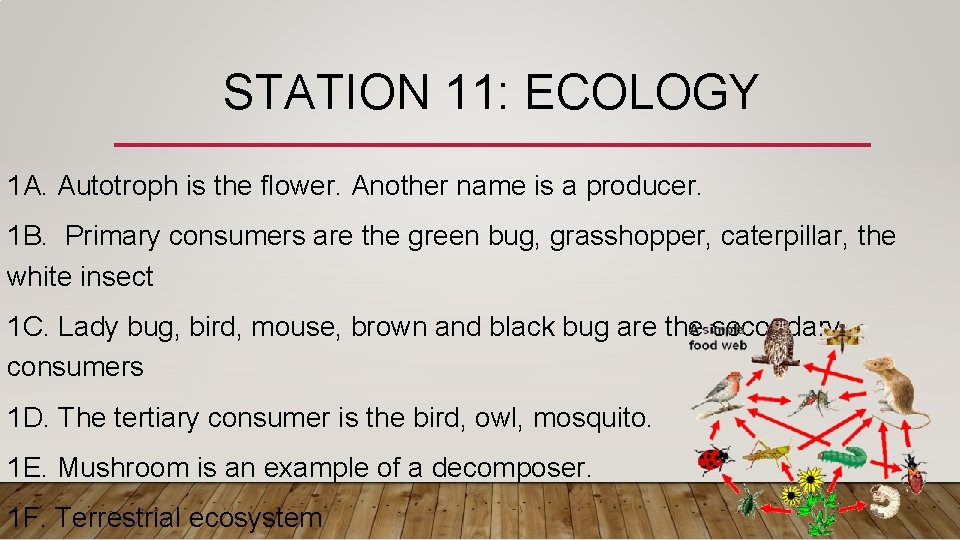 STATION 11: ECOLOGY 1 A. Autotroph is the flower. Another name is a producer.