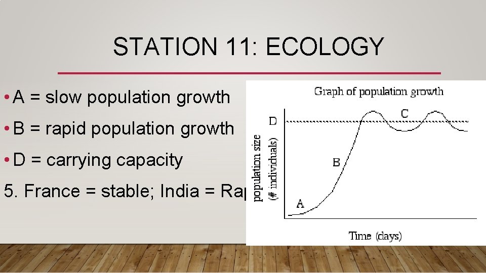 STATION 11: ECOLOGY • A = slow population growth • B = rapid population