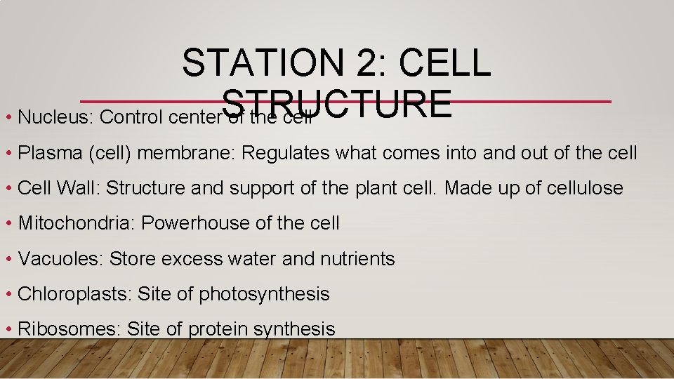 STATION 2: CELL • Nucleus: Control center. STRUCTURE of the cell • Plasma (cell)