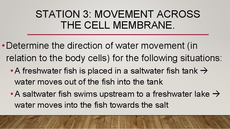 STATION 3: MOVEMENT ACROSS THE CELL MEMBRANE. • Determine the direction of water movement