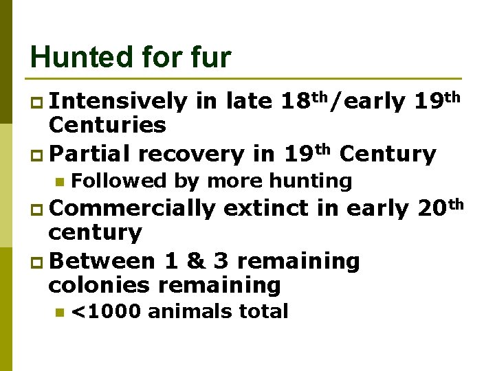 Hunted for fur p Intensively in late 18 th/early 19 th Centuries p Partial