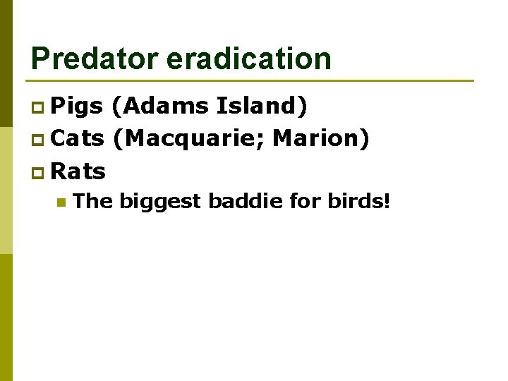 Predator eradication p Pigs (Adams Island) p Cats (Macquarie; Marion) p Rats n The