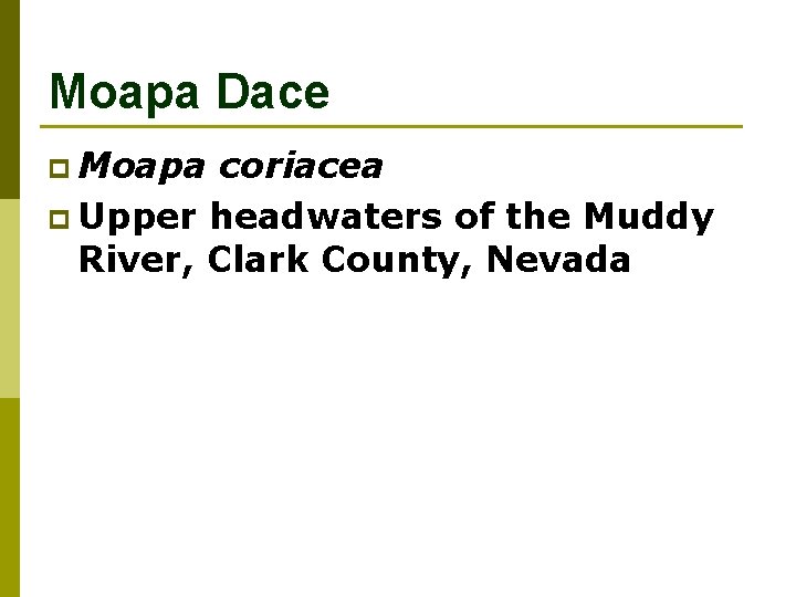 Moapa Dace p Moapa coriacea p Upper headwaters of the Muddy River, Clark County,