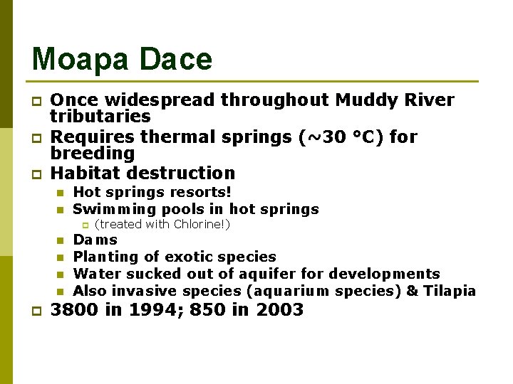 Moapa Dace p p p Once widespread throughout Muddy River tributaries Requires thermal springs