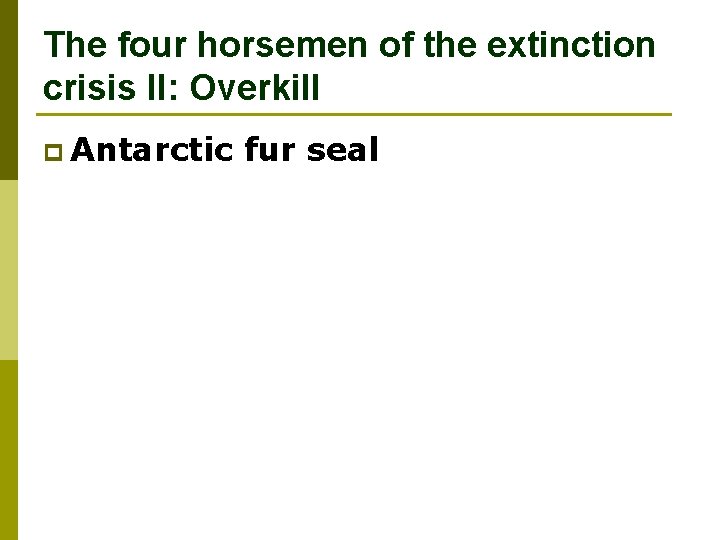 The four horsemen of the extinction crisis II: Overkill p Antarctic fur seal 