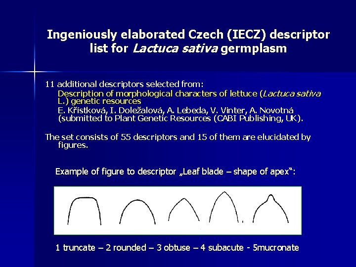 Ingeniously elaborated Czech (IECZ) descriptor list for Lactuca sativa germplasm 11 additional descriptors selected