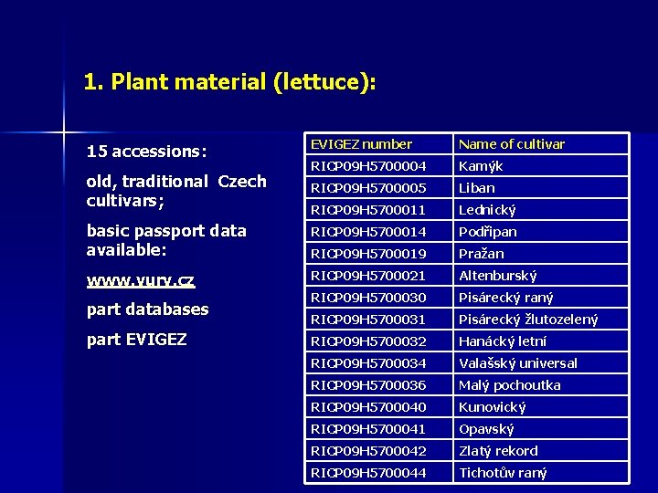 1. Plant material (lettuce): EVIGEZ number Name of cultivar RICP 09 H 5700004 Kamýk