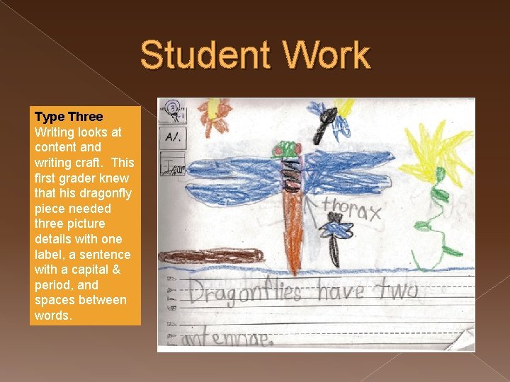 Student Work Type Three Writing looks at content and writing craft. This first grader