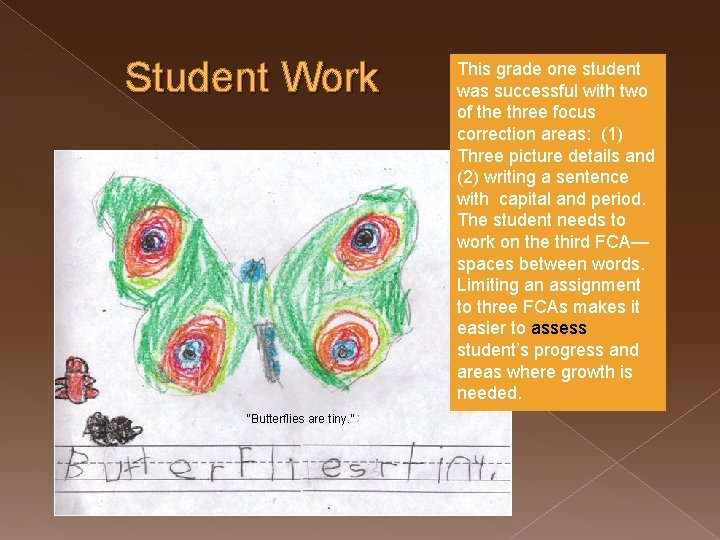 Student Work “Butterflies are tiny. ” This grade one student was successful with two