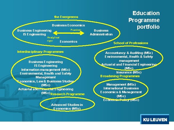 the Evergreens Business Economics Practiceorientation Business Engineering IS Engineering Analytical rigor Economics Interdisciplinary Programmes