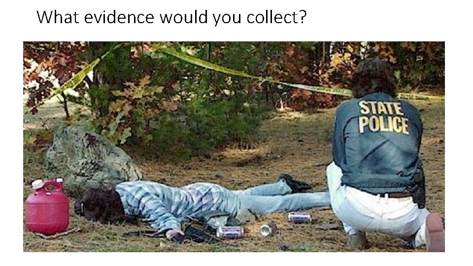 What evidence would you collect? 