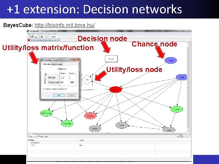 +1 extension: Decision networks Bayes. Cube: http: //bioinfo. mit. bme. hu/ Decision node Chance