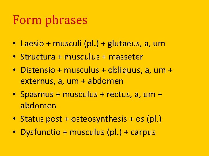 Form phrases • Laesio + musculi (pl. ) + glutaeus, a, um • Structura