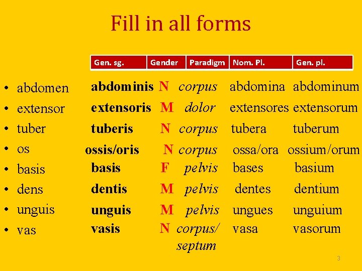 Fill in all forms Gen. sg. • • abdomen extensor tuber os basis dens