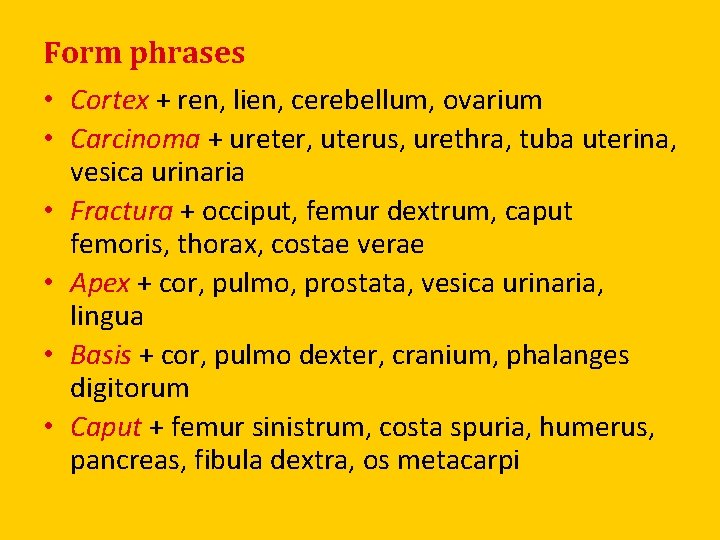Form phrases • Cortex + ren, lien, cerebellum, ovarium • Carcinoma + ureter, uterus,