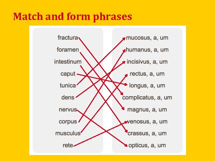 Match and form phrases 