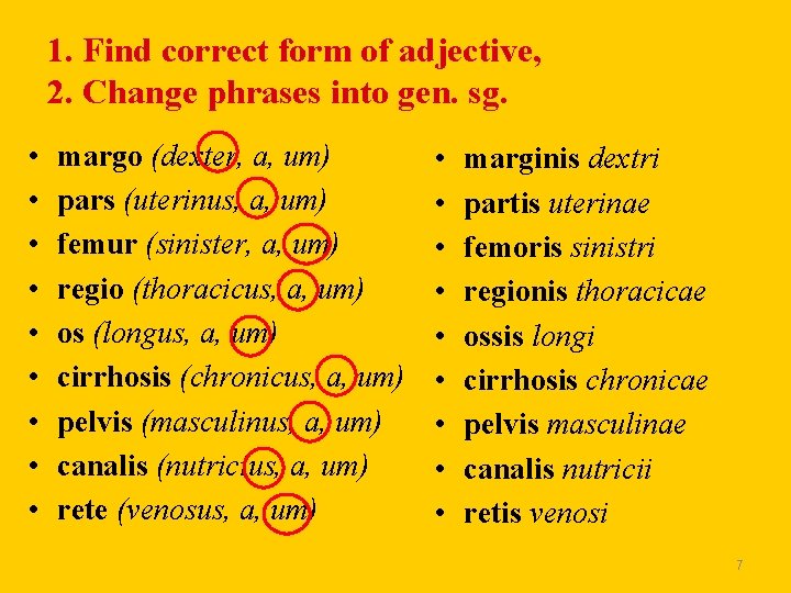 1. Find correct form of adjective, 2. Change phrases into gen. sg. • •
