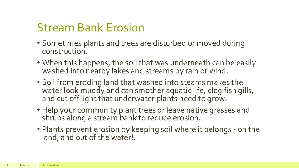 Stream Bank Erosion • Sometimes plants and trees are disturbed or moved during construction.