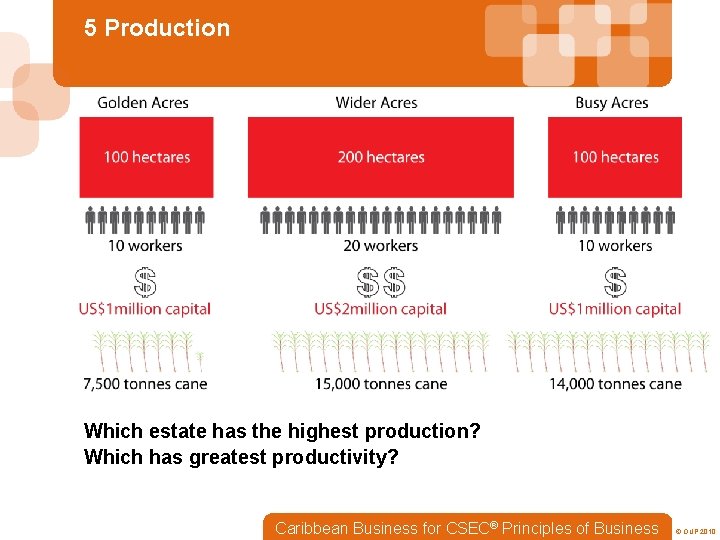 5 Production Which estate has the highest production? Which has greatest productivity? Caribbean Business